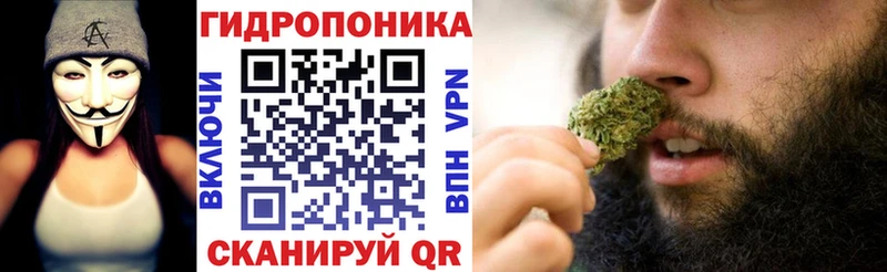 Виды наркотиков купить Артёмовск A PVP Псилоцибиновые грибы Мефедрон
