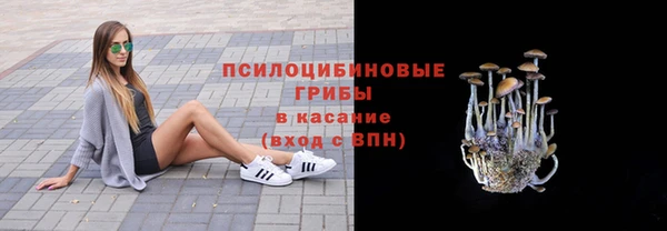 амф Аркадак