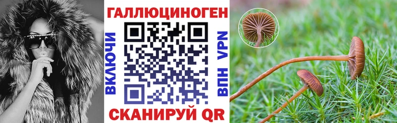 Псилоцибиновые грибы Cubensis  Артёмовск 